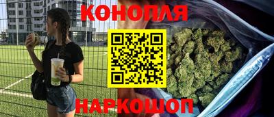 сатива Можайск