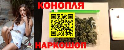 сатива Можайск