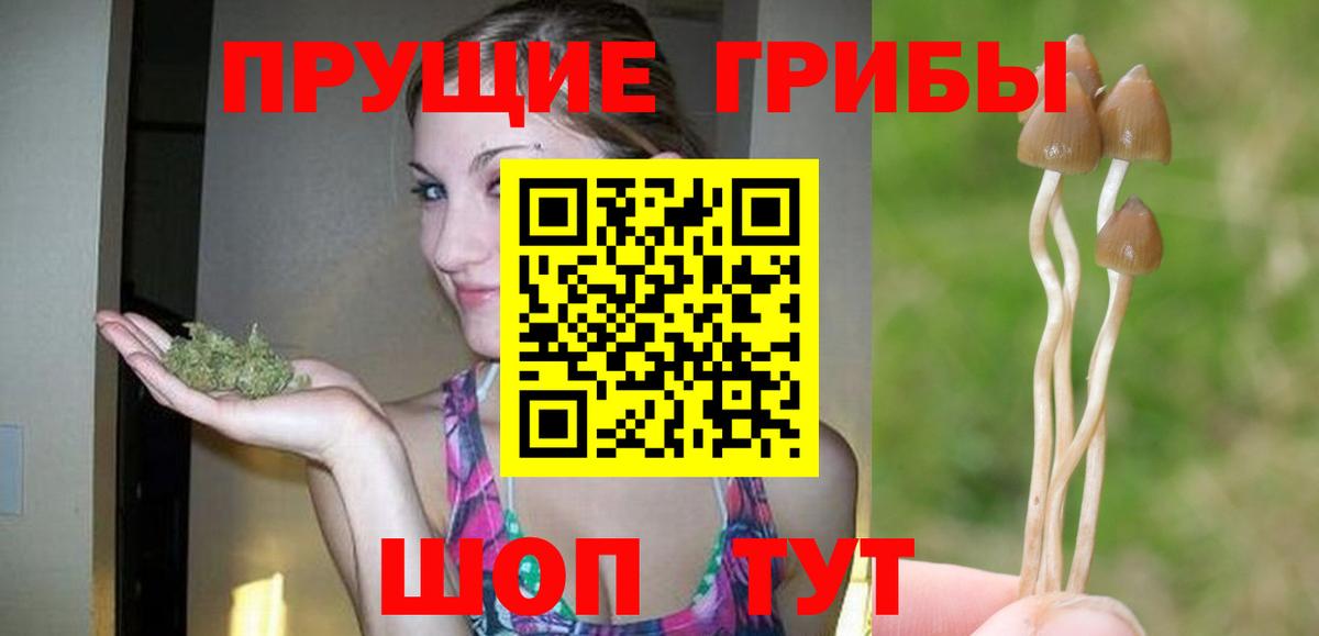 Галлюциногенные грибы прущие грибы Вичуга